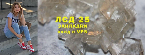 сатива Дедовск