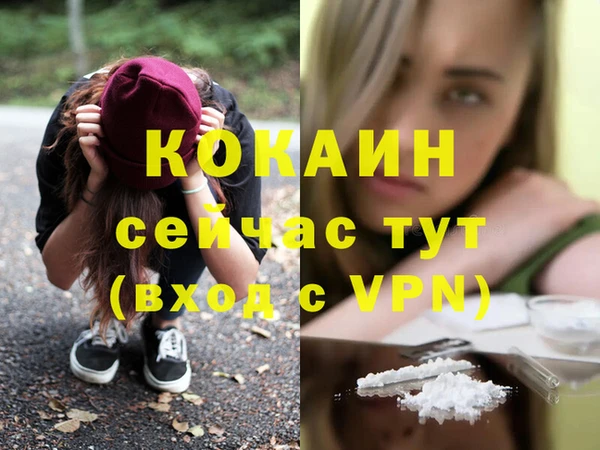 стаф Сатка
