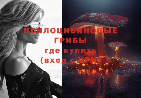 гидропоника Алексеевка